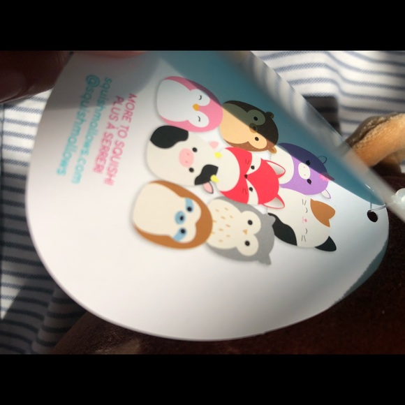 Hans is a hedgehog with a brown body. 7-8 inch - Picture 5 of 8